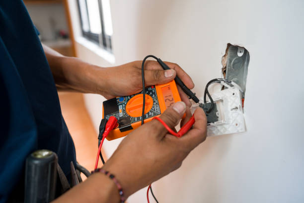 Best Electric Panel Repair  in Encinal, TX