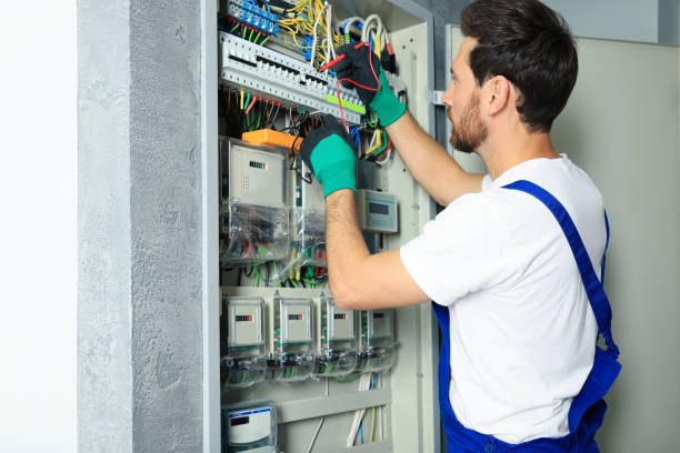 Best Electrical System Inspection  in Encinal, TX
