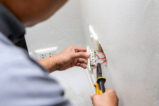 Best Local Electrician Companies  in Encinal, TX