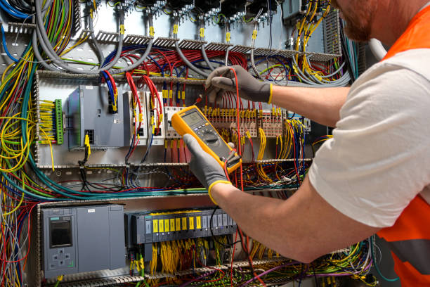 Best Electrician for Home Renovation  in Encinal, TX