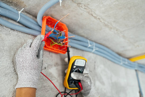 Best Electrical System Inspection  in Encinal, TX