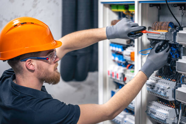 Best Electrician for Home Renovation  in Encinal, TX